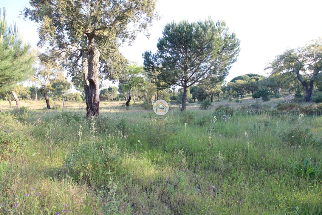 Terreno para Venda em Cortiçadas de Lavre e Lavre Foto 20