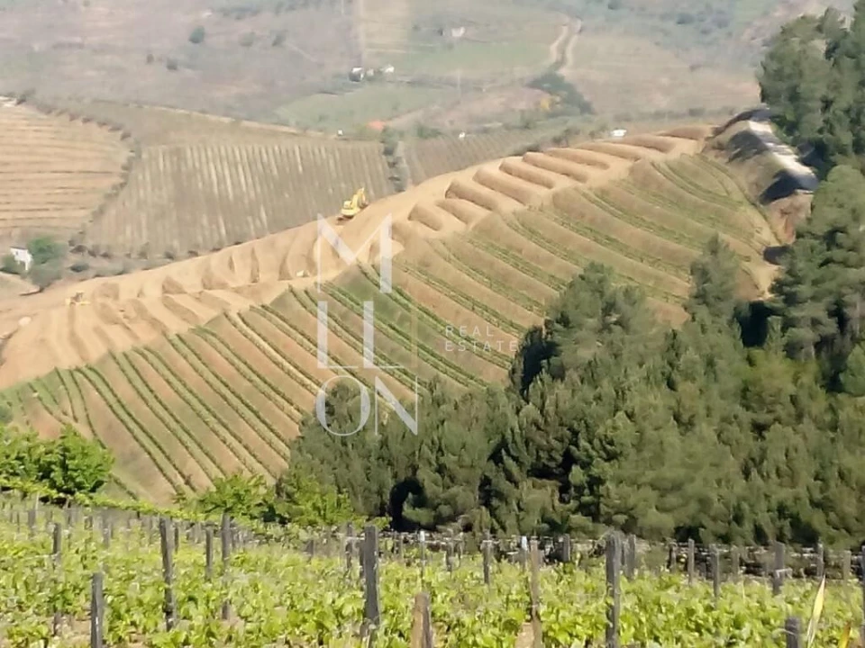 Terreno para Venda em Vilar de Maçada Foto 14