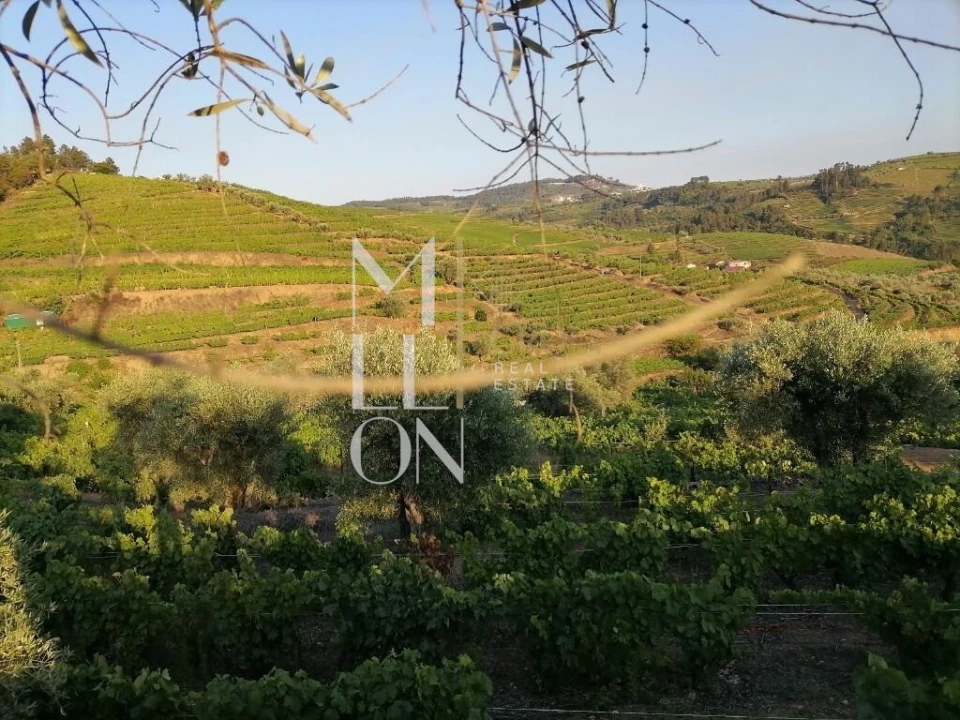 Terreno para Venda em Vilar de Maçada Foto 8