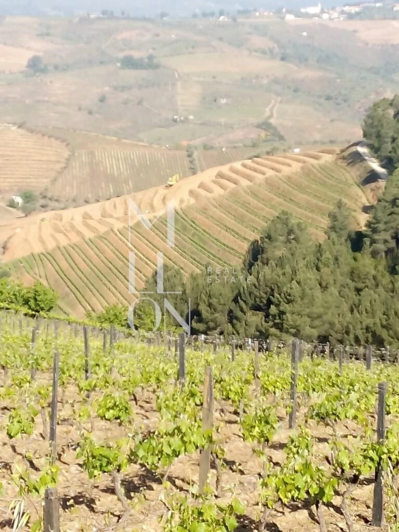 Terreno para Venda em Vilar de Maçada Foto 1
