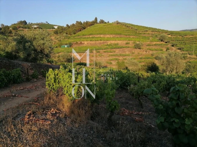Terreno para Venda em Vilar de Maçada Foto 10