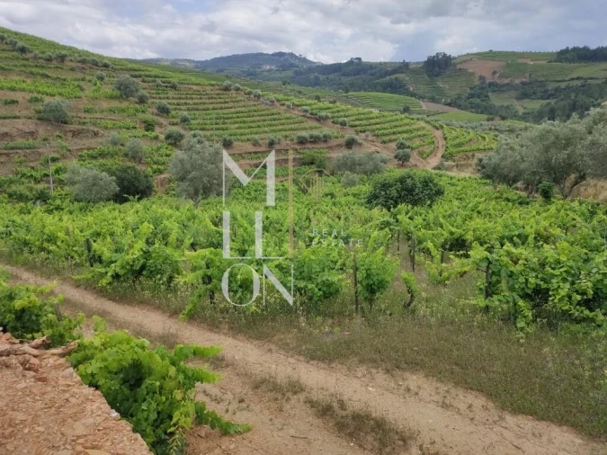 Terreno para Venda em Vilar de Maçada Foto 4
