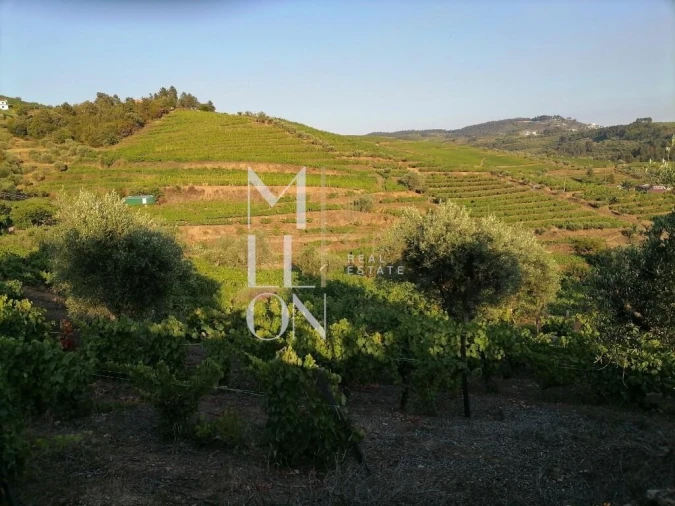 Terreno para Venda em Vilar de Maçada Foto 16