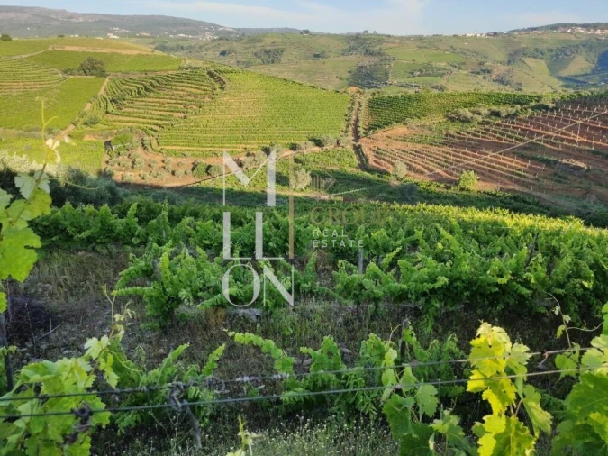 Terreno para Venda em Vilar de Maçada Foto 12