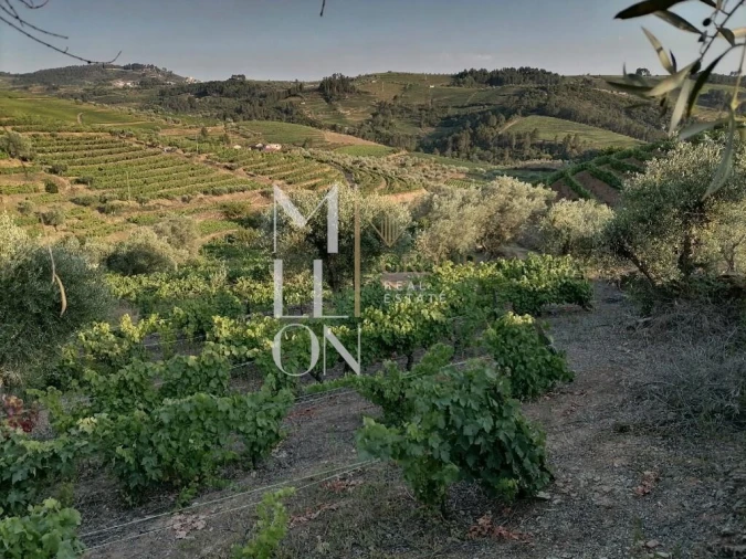 Terreno para Venda em Vilar de Maçada Foto 9