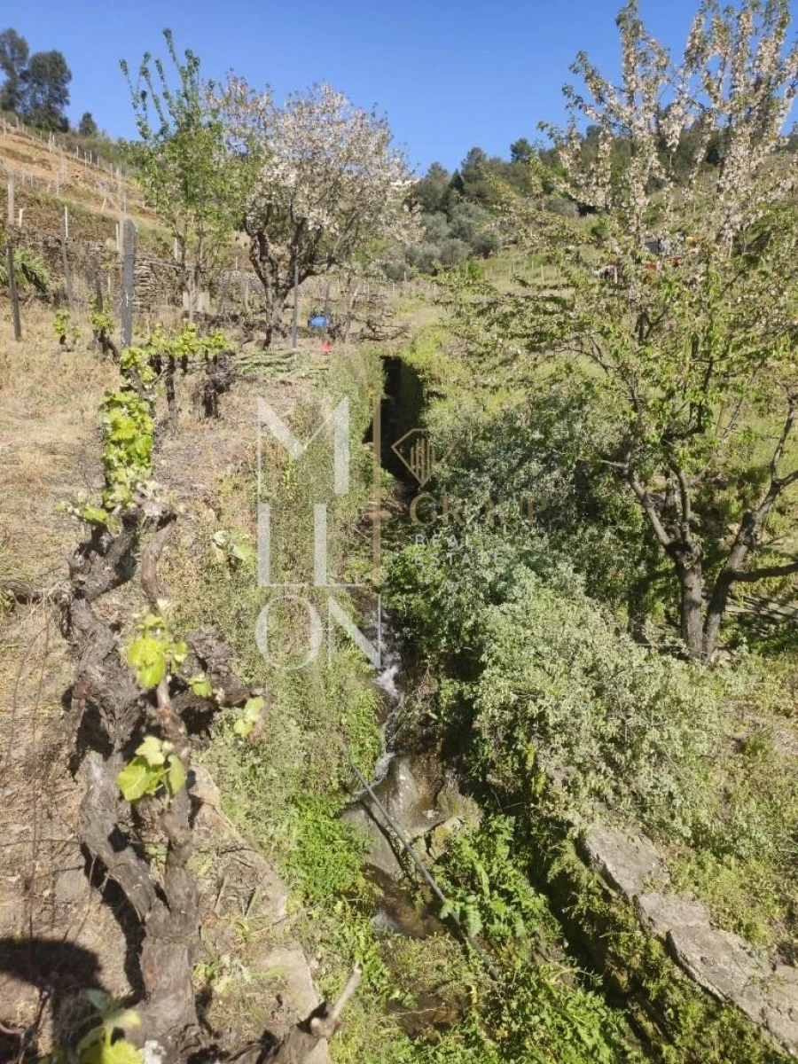 Terreno para Venda em Vilar de Maçada Foto 18