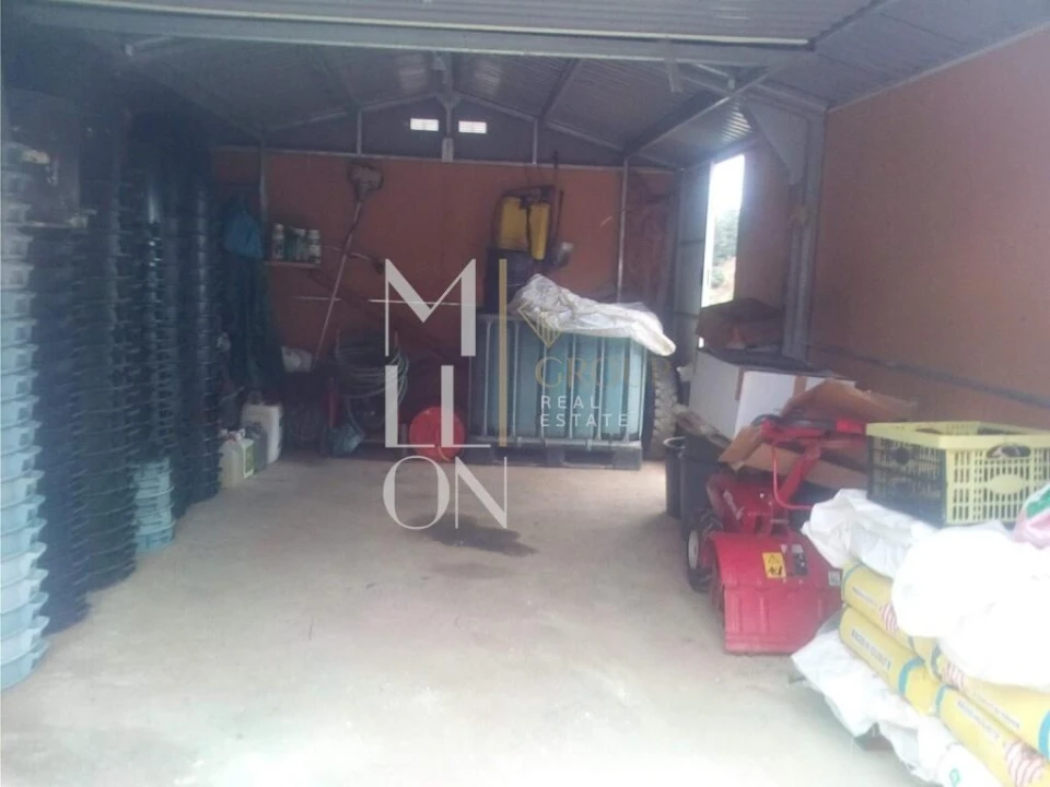 Terreno para Venda em Vilar de Maçada Foto 3