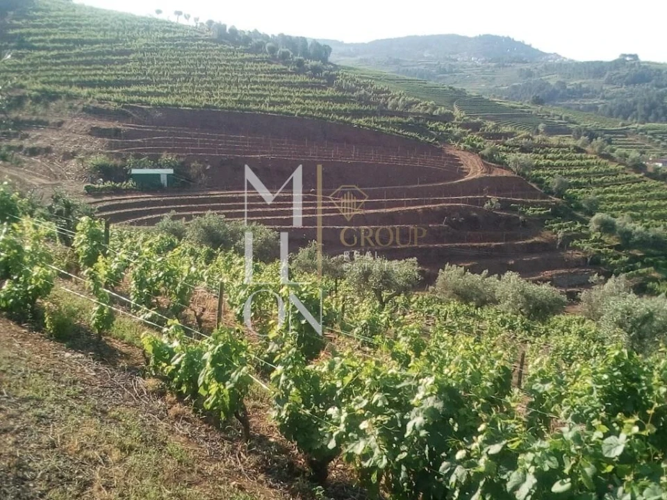 Terreno para Venda em Vilar de Maçada Foto 5
