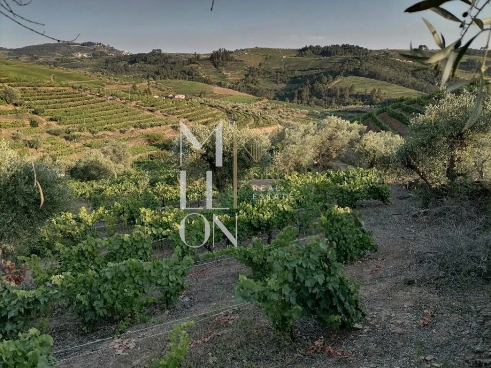 Terreno para Venda em Vilar de Maçada Foto 9