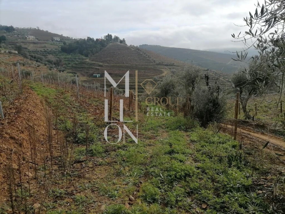 Terreno para Venda em Vilar de Maçada Foto 6