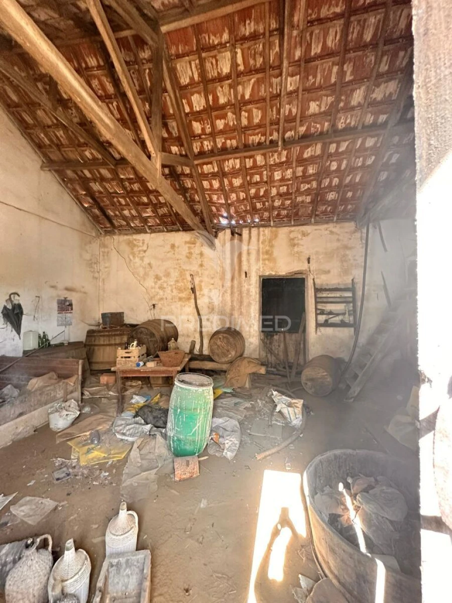 Apartamento T2 para Venda em Santa Maria, São Pedro e Matacães Foto 4