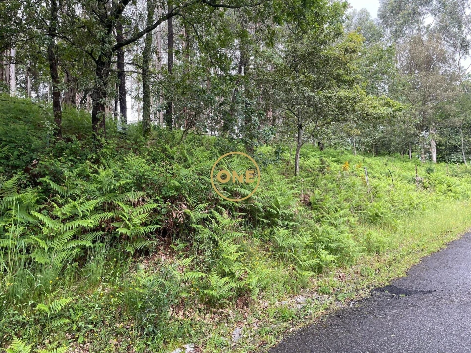 Terreno para Venda em Pico de Regalados, Gondiães e Mós Foto 5