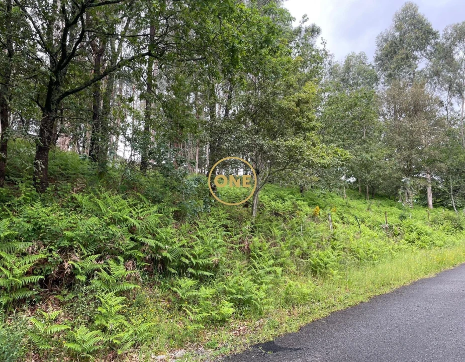 Terreno para Venda em Pico de Regalados, Gondiães e Mós Foto 2