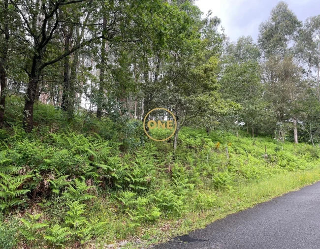 Terreno para Venda em Pico de Regalados, Gondiães e Mós Foto 2