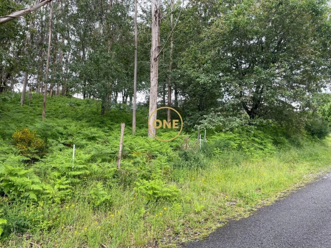 Terreno para Venda em Pico de Regalados, Gondiães e Mós Foto 3
