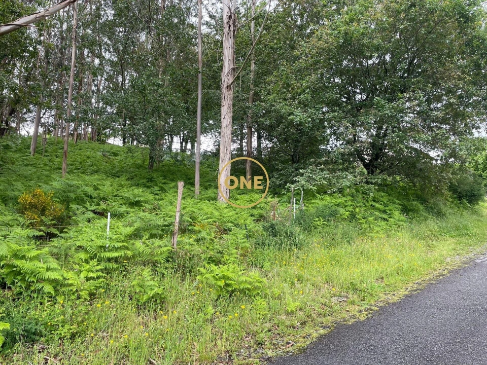 Terreno para Venda em Pico de Regalados, Gondiães e Mós Foto 3