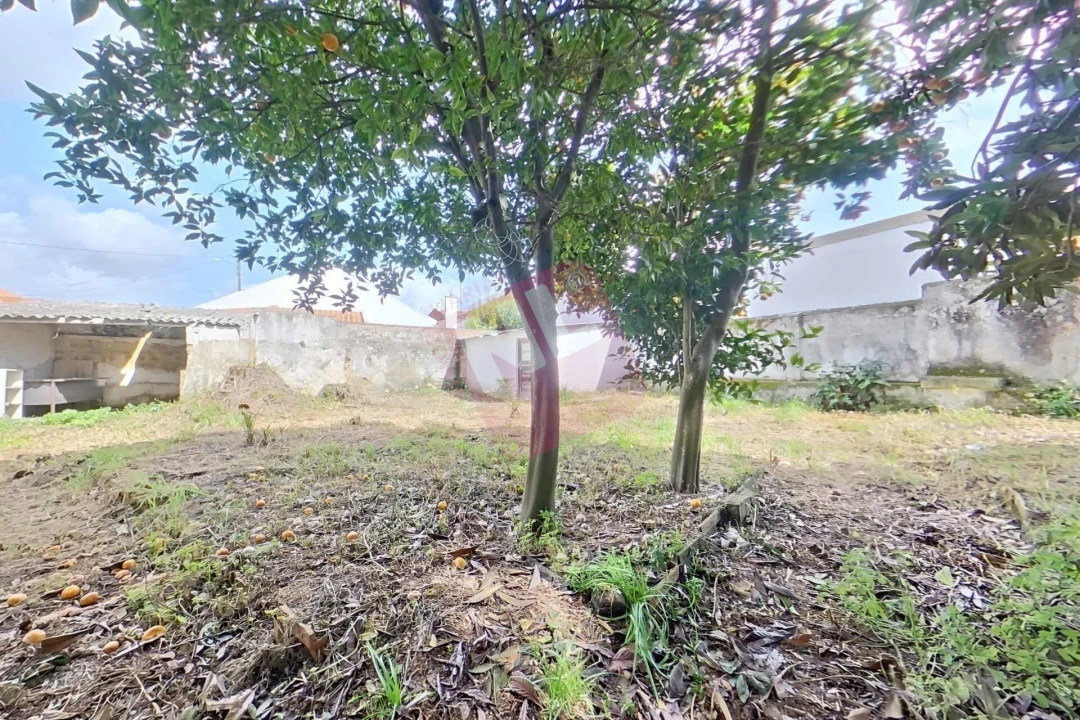 Moradia T5 para Venda em Aveiras de Cima Foto 66