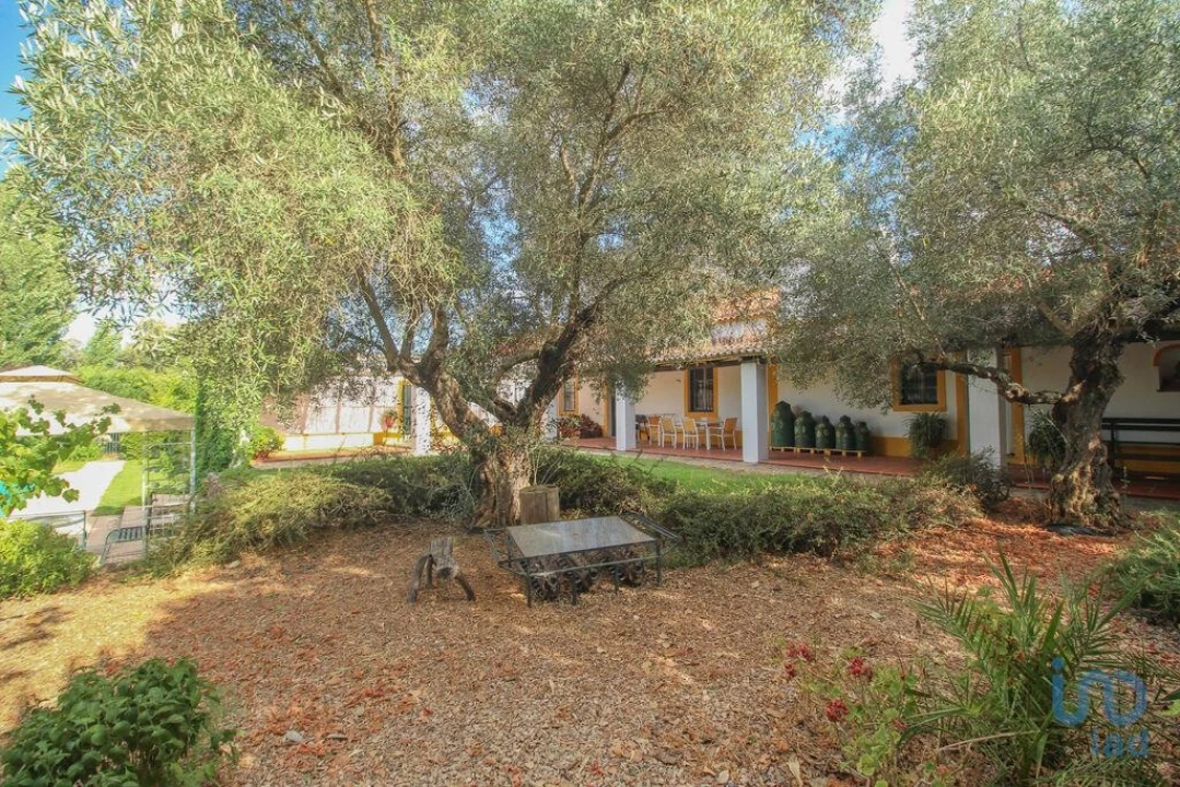 Moradia T3 para Venda em Nossa Senhora da Expectação Foto 14