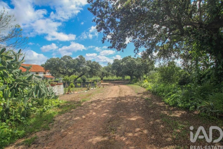 Moradia T3 para Venda em Nossa Senhora da Expectação Foto 21