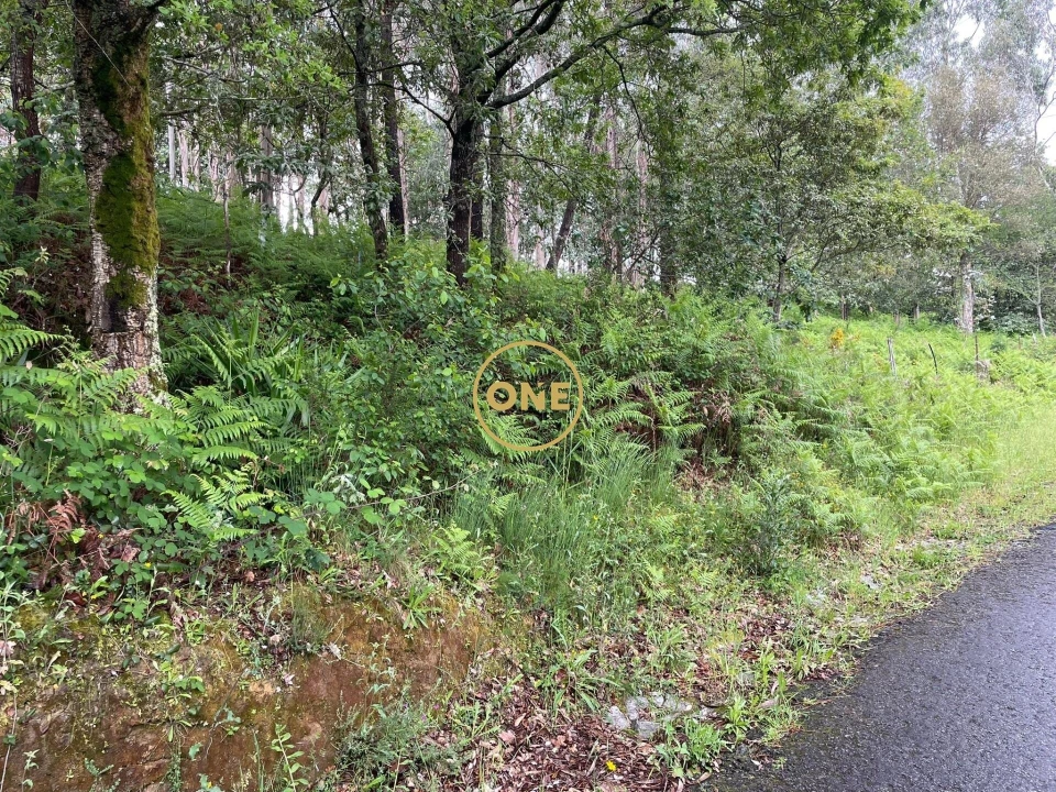 Terreno para Venda em Pico de Regalados, Gondiães e Mós Foto 11