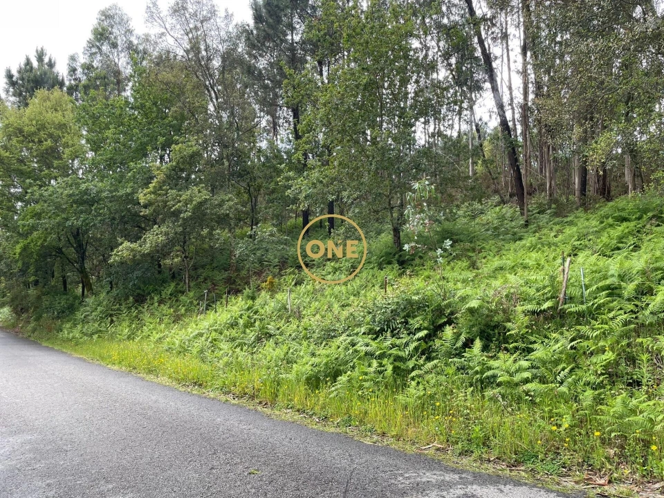 Terreno para Venda em Pico de Regalados, Gondiães e Mós Foto 6