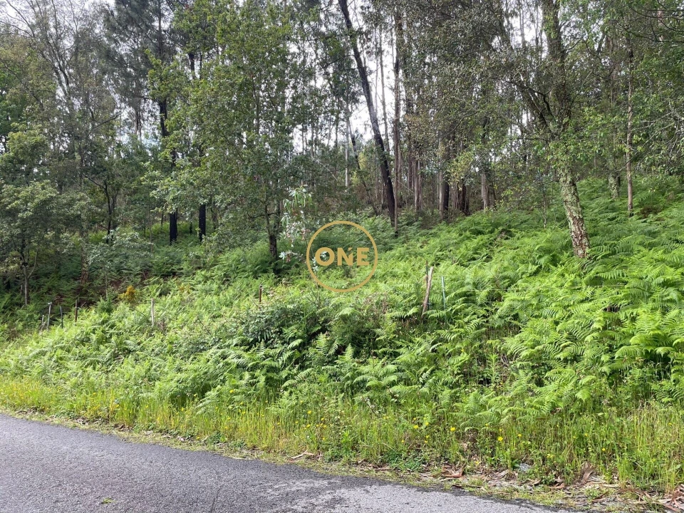 Terreno para Venda em Pico de Regalados, Gondiães e Mós Foto 5