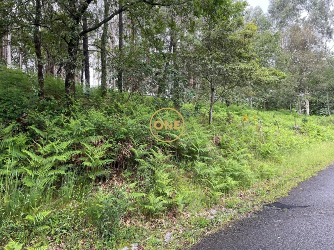 Terreno para Venda em Pico de Regalados, Gondiães e Mós Foto 8