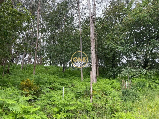 Terreno para Venda em Pico de Regalados, Gondiães e Mós Foto 1