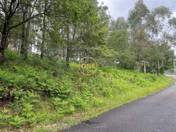 Terreno para Venda em Pico de Regalados, Gondiães e Mós Foto 2