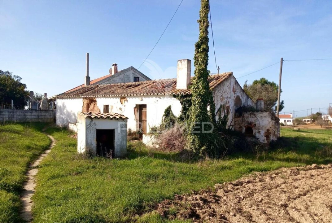 Terreno para Venda em São Luis Foto 10