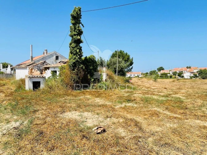 Terreno para Venda em São Luis Foto 13