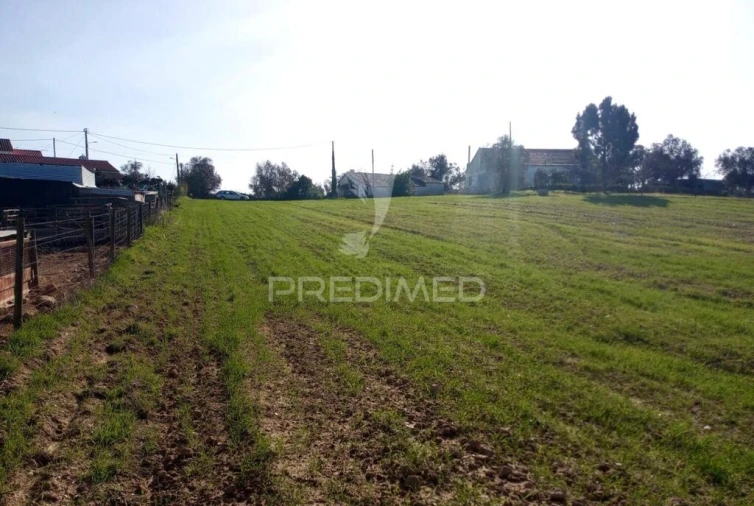 Terreno para Venda em São Luis Foto 12