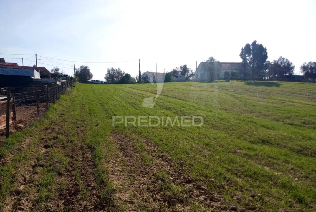 Terreno para Venda em São Luis Foto 12