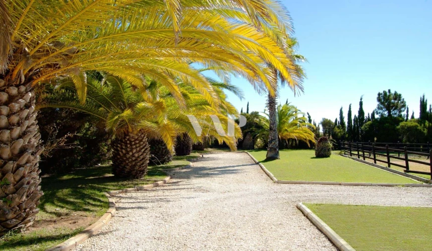 Moradia T5 para Venda em Conceição e Cabanas de Tavira Foto 22