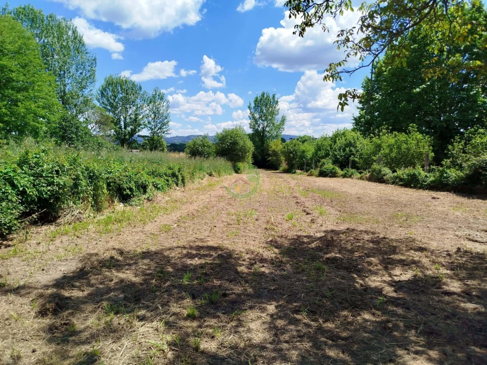 Terreno para Venda em Vila de Prado Foto 6
