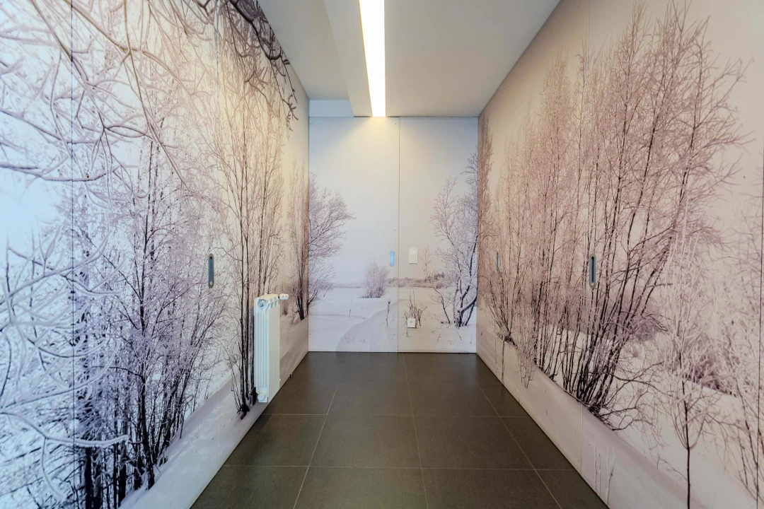 Moradia T3 para Venda em Ponta Delgada (São Pedro) Foto 36