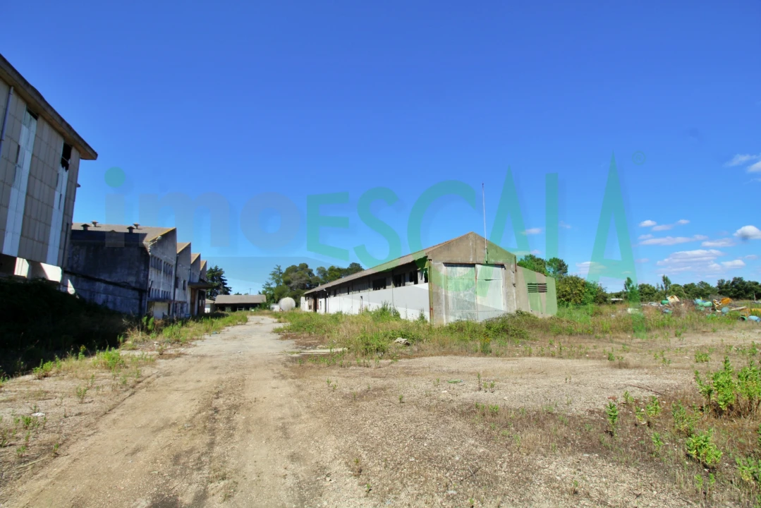 Armazém para Venda em Vale da Pedra Foto 34