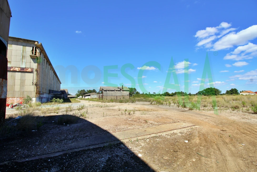 Armazém para Venda em Vale da Pedra Foto 28