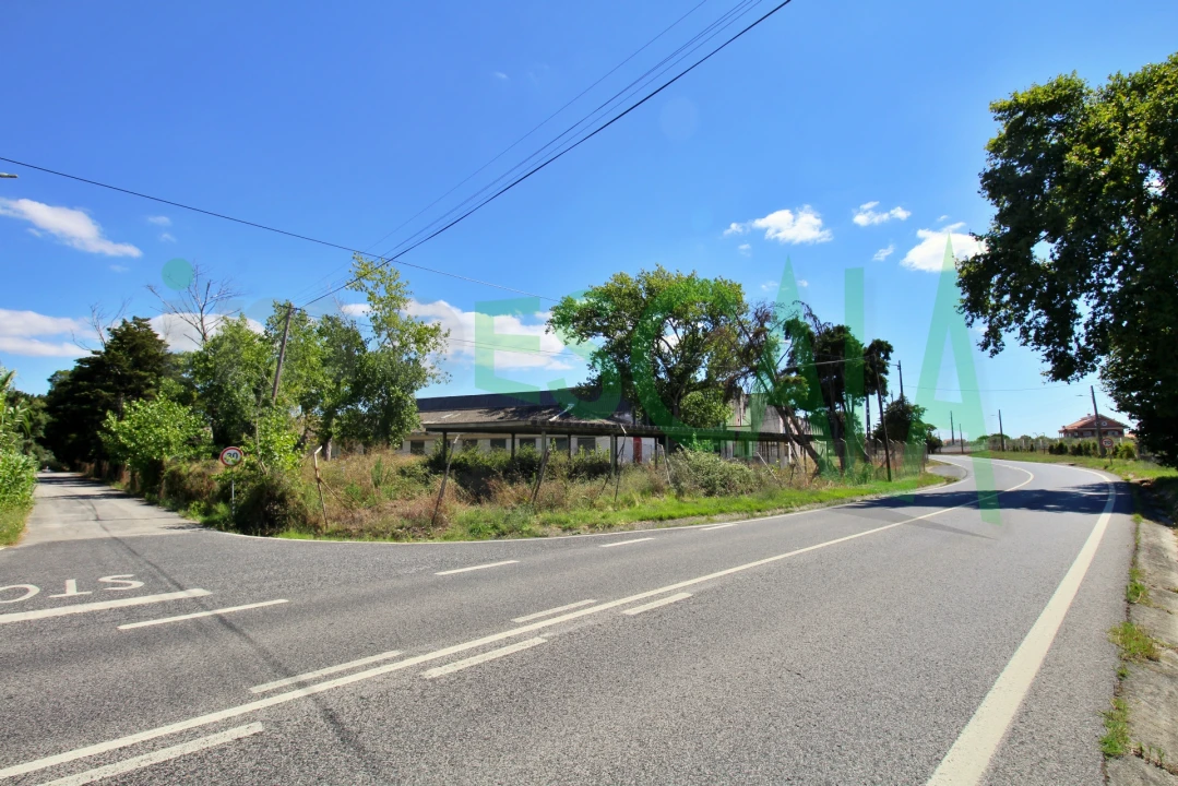 Armazém para Venda em Vale da Pedra Foto 39