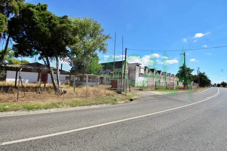 Armazém para Venda em Vale da Pedra Foto 38
