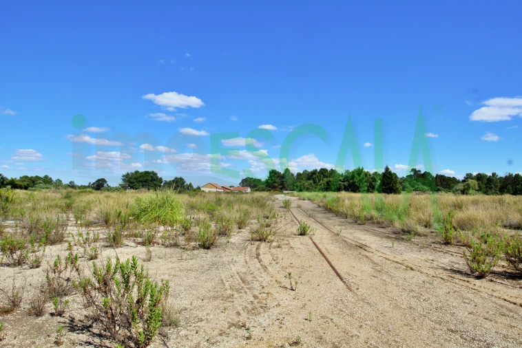 Armazém para Venda em Vale da Pedra Foto 30