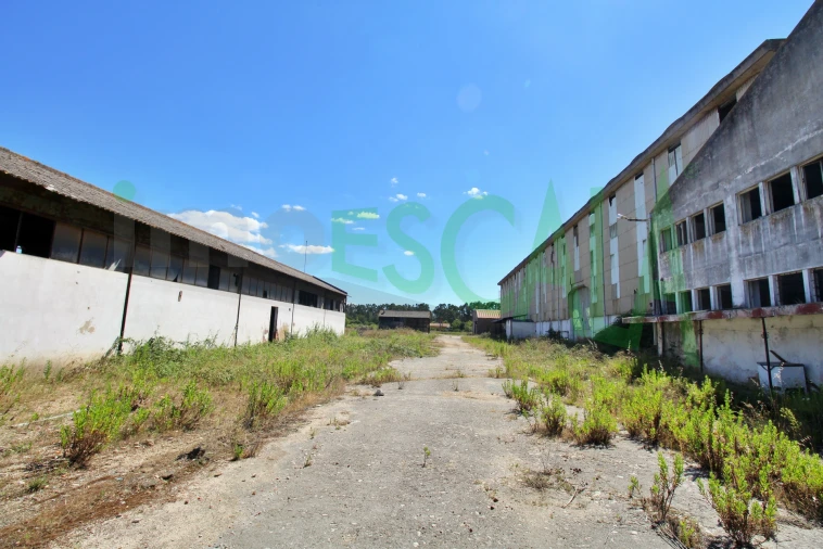 Armazém para Venda em Vale da Pedra Foto 37