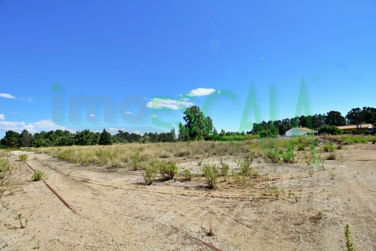 Armazém para Venda em Vale da Pedra Foto 32