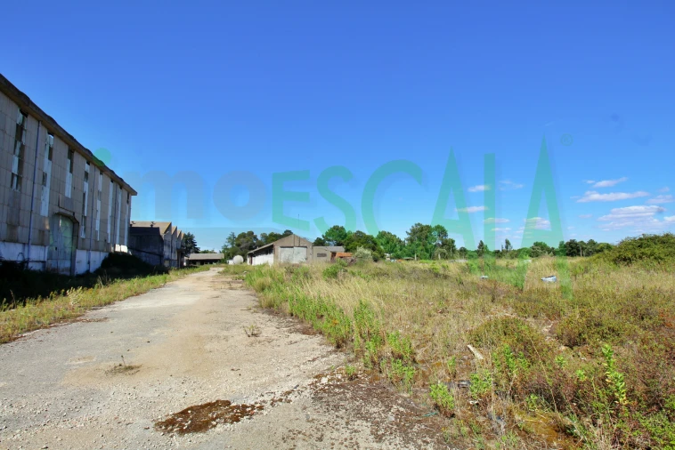 Armazém para Venda em Vale da Pedra Foto 33