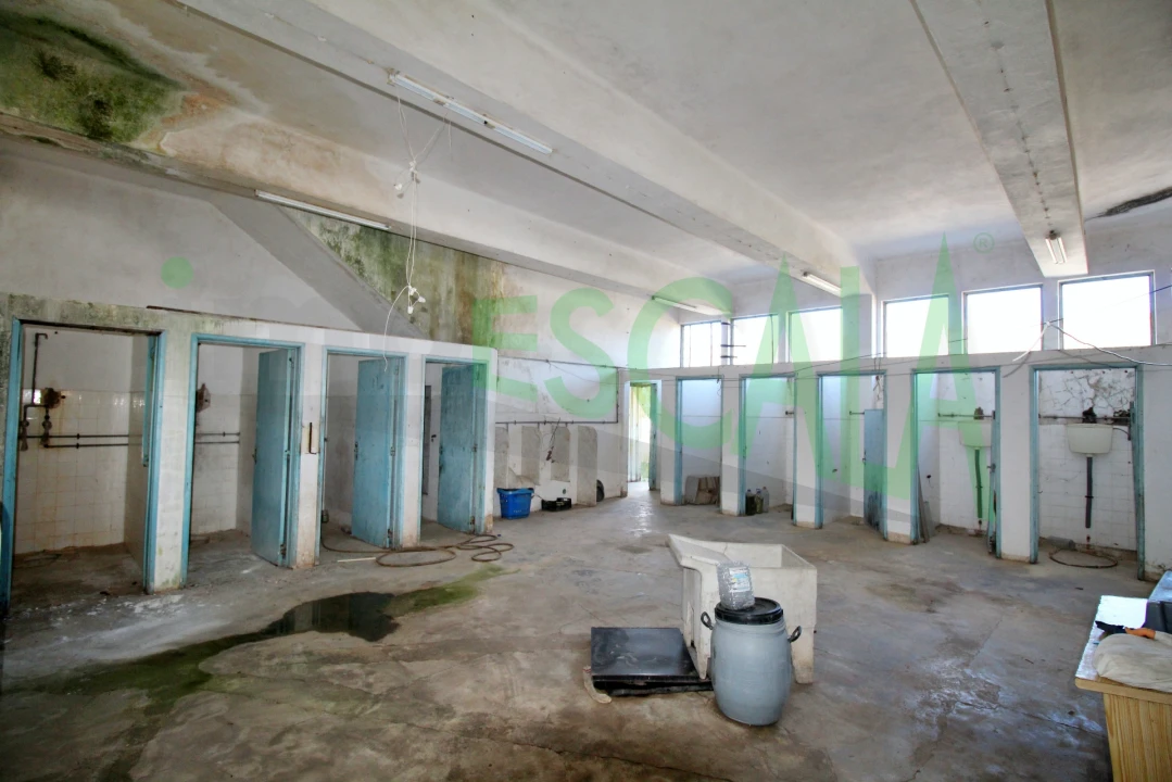 Armazém para Venda em Vale da Pedra Foto 21