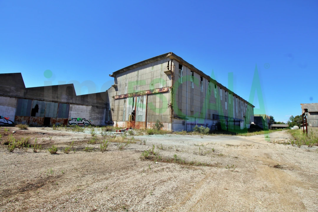 Armazém para Venda em Vale da Pedra Foto 29