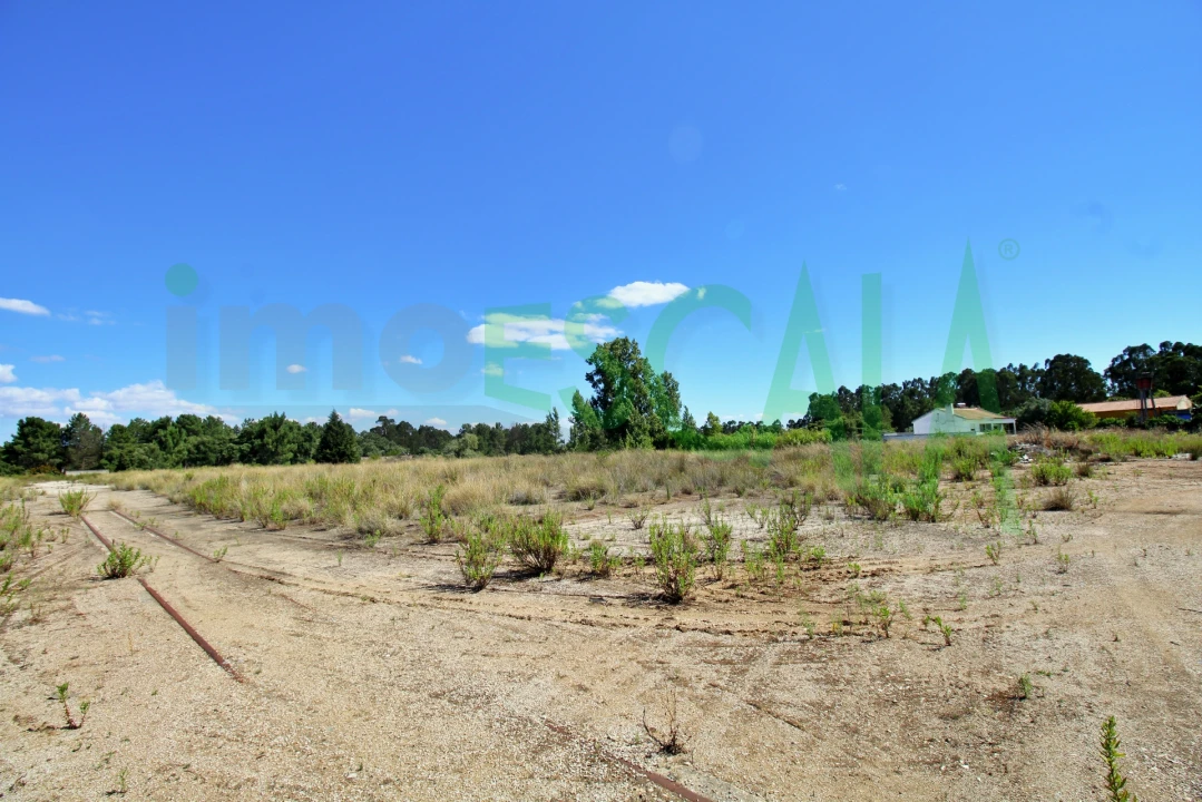Armazém para Venda em Vale da Pedra Foto 32