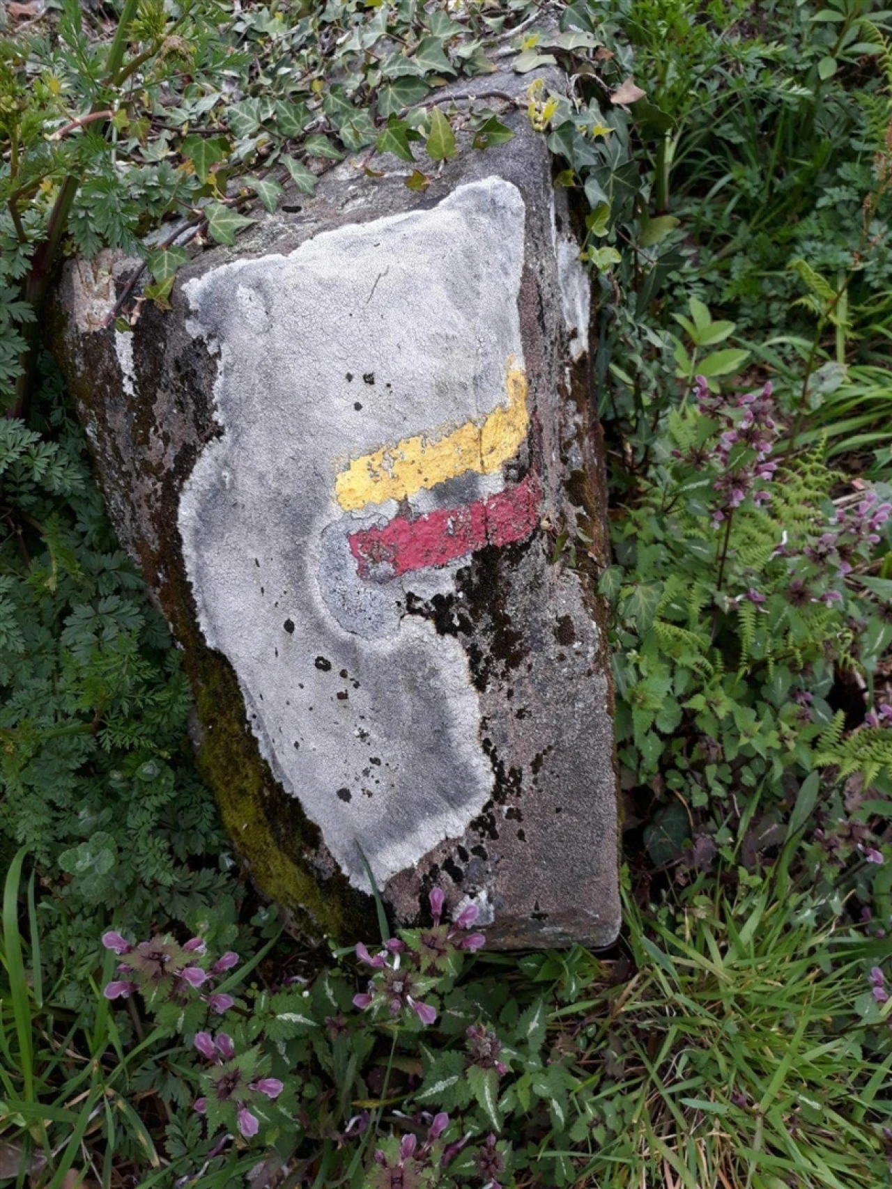 Quinta T2 para Venda em Mondim de Basto Foto 22