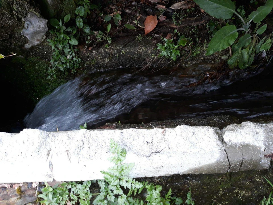 Quinta T2 para Venda em Mondim de Basto Foto 8