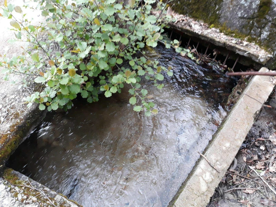 Quinta T2 para Venda em Mondim de Basto Foto 5